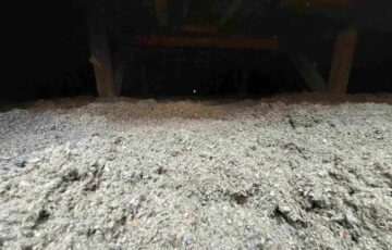 Problem: Zniszczona wełna mineralna i gniazda kun na poddaszu domu jednorodzinnego. Rozwiązanie: Usunięcie starej, zniszczonej izolacji i aplikacja celulozy, której struktura i dodatek soli boru skutecznie zniechęcają szkodniki. Efekt: Problem kun rozwiązany na stałe, przywrócona pełna termoizolacja i spokój mieszkańców.