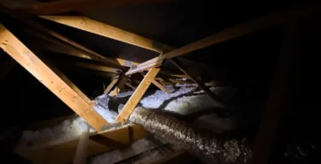 ekocel docieplenia celulozą i wełną (6)